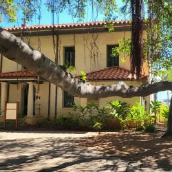 Banyan Tree Park - Lahaina