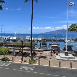 Banyan Tree Park - Lahaina