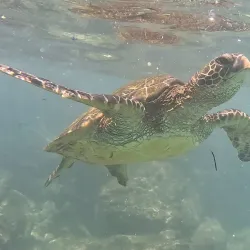 Kaanapali Beach - Lahaina