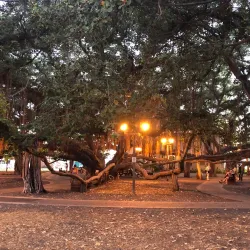 Lahaina Front Street - Lahaina