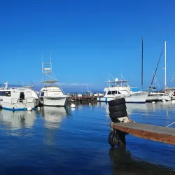 Lahaina Harbor - Lahaina