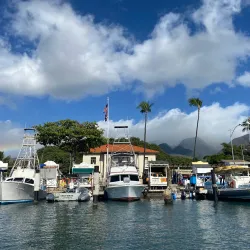 Lahaina Harbor - Lahaina