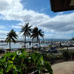 Maui Ocean Center - Lahaina