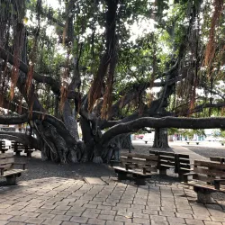Old Lahaina Courthouse - Lahaina