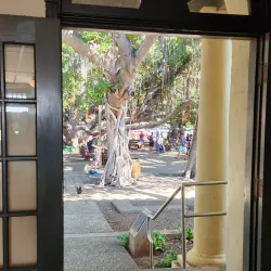 Old Lahaina Courthouse - Lahaina