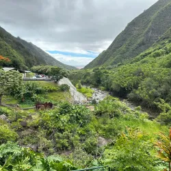 Iao Valley State Park - Maui