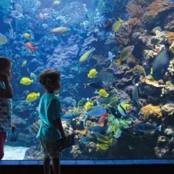 Maui Ocean Center - Maui