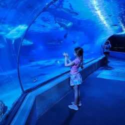 Maui Ocean Center - Maui