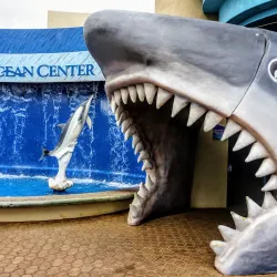 Maui Ocean Center - Maui