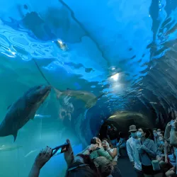 Maui Ocean Center - Maui