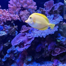 Maui Ocean Center - Maui