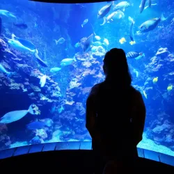 Maui Ocean Center - Maui