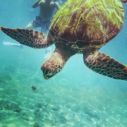 Molokini Crater - Maui