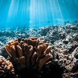 Molokini Crater - Maui