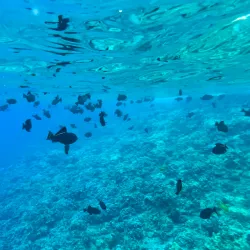 Molokini Crater - Maui
