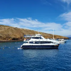 Molokini Crater - Maui