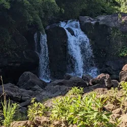 Road to Hana - Maui
