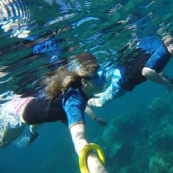 Whale Watching in Lahaina - Maui