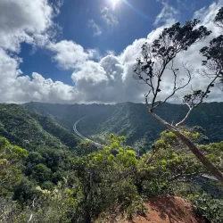 Aiea Loop Trail - Pearl City