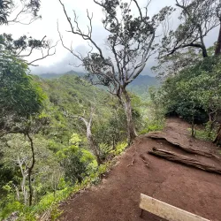 Aiea Loop Trail - Pearl City