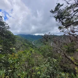 Aiea Loop Trail - Pearl City