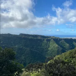 Aiea Loop Trail - Pearl City