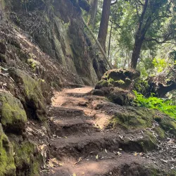 Aiea Loop Trail - Pearl City