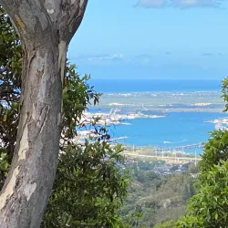 Aiea Loop Trail - Pearl City
