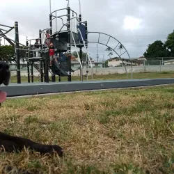 Lehua Community Park - Pearl City