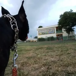 Lehua Community Park - Pearl City