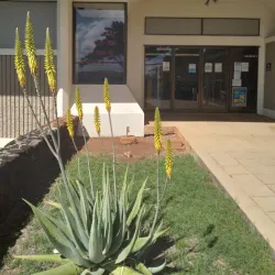 Pearl City Public Library - Pearl City