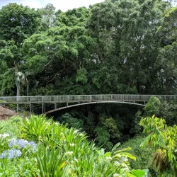 Wahiawa Botanical Garden - Pearl City