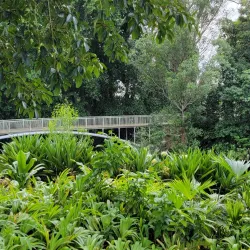 Wahiawa Botanical Garden - Pearl City