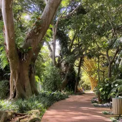 Wahiawa Botanical Garden - Pearl City