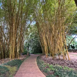 Wahiawa Botanical Garden - Pearl City