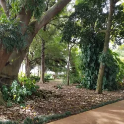 Wahiawa Botanical Garden - Pearl City