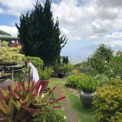 Alii Kula Lavender Farm - Pukalani