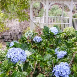 Kula Botanical Garden - Pukalani