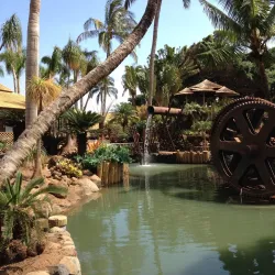 Maui Tropical Plantation - Pukalani