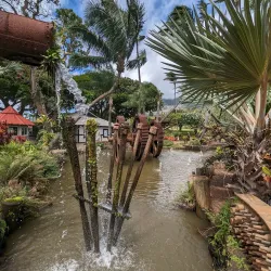 Maui Tropical Plantation - Pukalani