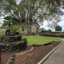 Maui Wine at Ulupalakua Ranch - Pukalani