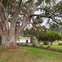 Maui Wine at Ulupalakua Ranch - Pukalani