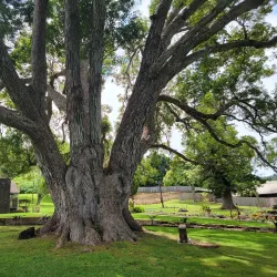 Maui Wine at Ulupalakua Ranch - Pukalani
