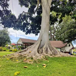 Maui Wine at Ulupalakua Ranch - Pukalani