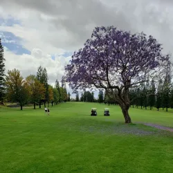 Pukalani Country Club - Pukalani