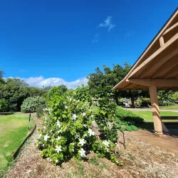 Maui Nui Botanical Gardens - Wailuku