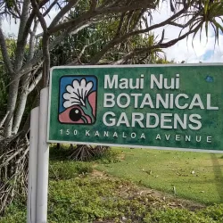 Maui Nui Botanical Gardens - Wailuku