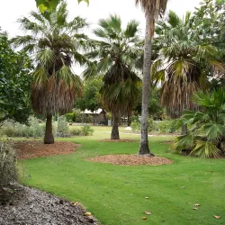 Maui Nui Botanical Gardens - Wailuku
