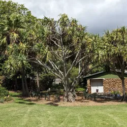 Maui Nui Botanical Gardens - Wailuku