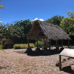 Maui Nui Botanical Gardens - Wailuku